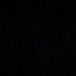 Meet your Posher, Lillian